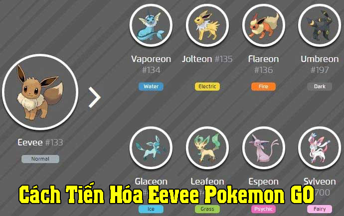 cách tiến hóa Eevee