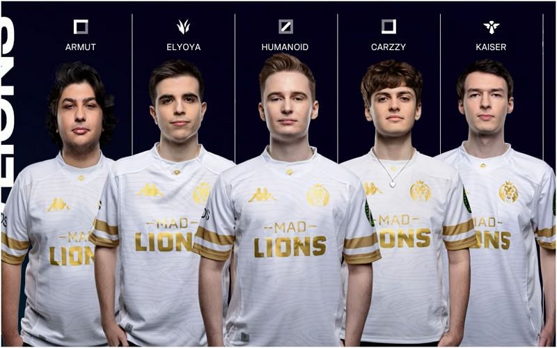 lec-madlions